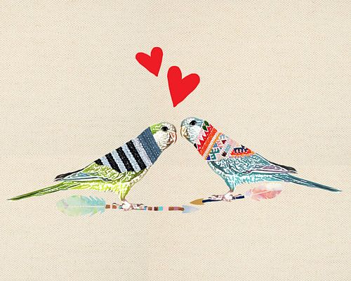 Oiseaux d'amour