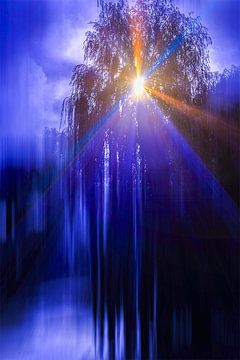 Pin Garden Tree by Roelof van der Schaaf