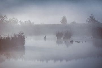 In de mist van Andy Luberti