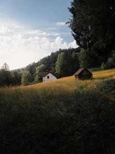 Sonnenaufgang in Sloweniens Natur