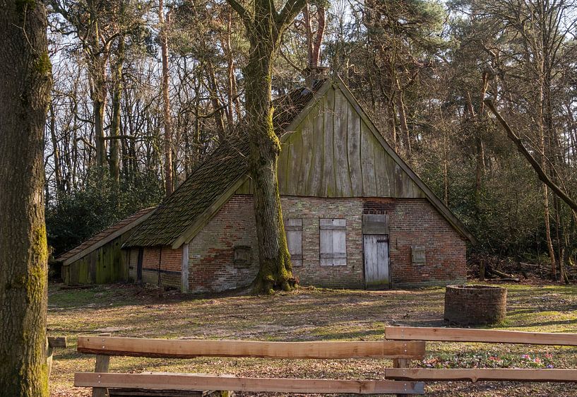 old barn in the forest in the netherlands during winter by ChrisWillemsen