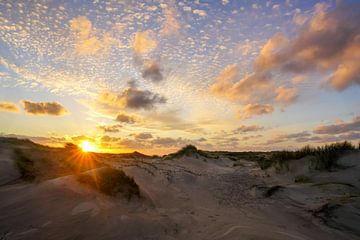 Düne, Strand und Meer von Dirk van Egmond