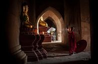 Junger betender Mönch in Bagan Myanmar von Wout Kok Miniaturansicht