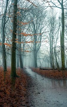 Hemmensebos Teil 65 von Tania Perneel