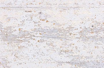 Alte weiße Holzplanke als Hintergrundtextur von Alex Winter