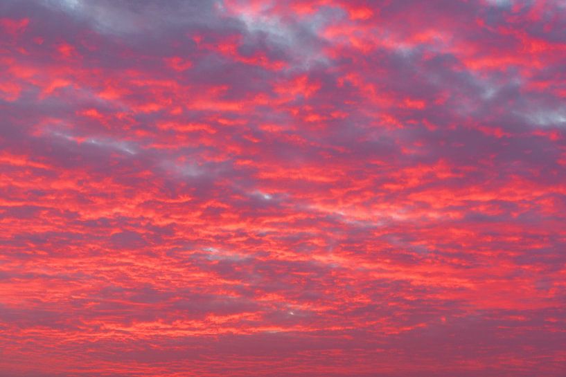 Coucher de soleil avec des nuages colorés en rose et en violet par Sjoerd van der Wal Photographie
