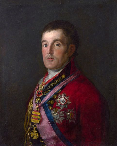 Portrait of the Duke of Wellington, Francisco de Goya by Masterful Masters