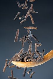 Langer Pfeffer – Würzig und aromatisch von Photo Art Thomas Klee