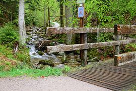 Crossing the first bridge by Frank's Awesome Travels