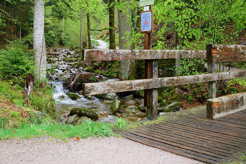 Überqueren der ersten Brücke von Frank's Awesome Travels