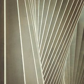 Station van Reggio Emilia in Italië door architect Santiago Calatrava van Truus Nijland