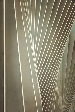 Gare ferroviaire de Reggio Emilia en Italie par l'architecte Santiago Calatrava