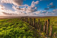 De Westhoek