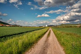 De manier waarop van Roland Hoffmann