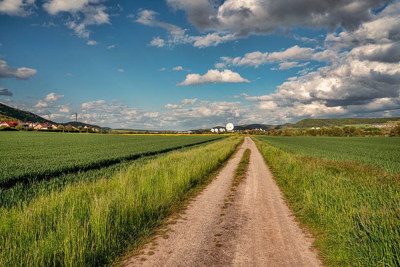 Der Weg von Roland Hoffmann