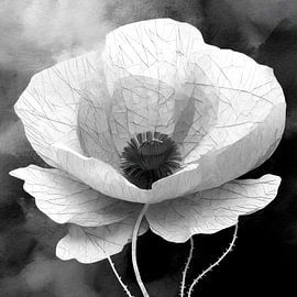 Mohn in Schwarz und Weiß von Studio Pieternel