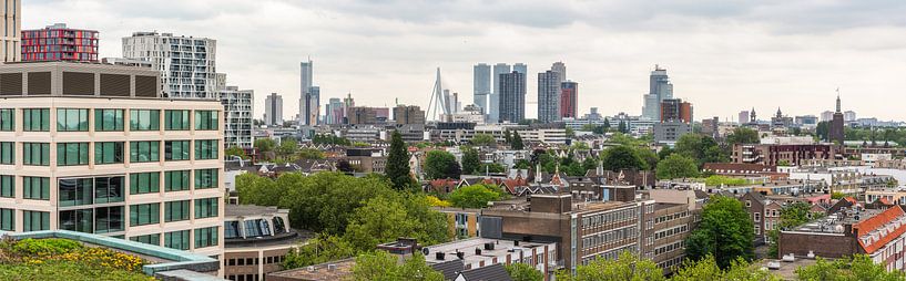 Rotterdam Skyline (Panorama) van Lorena Cirstea