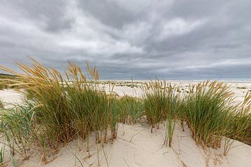 Strand auf Juist von Dirk Rüter