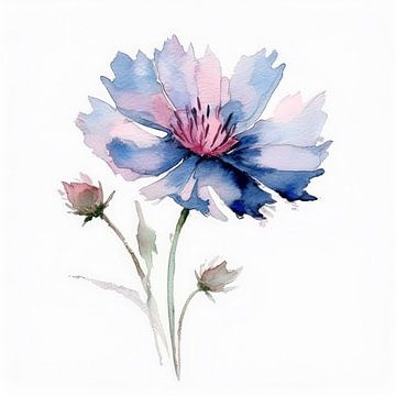 Bleuet sur Evelien Prins