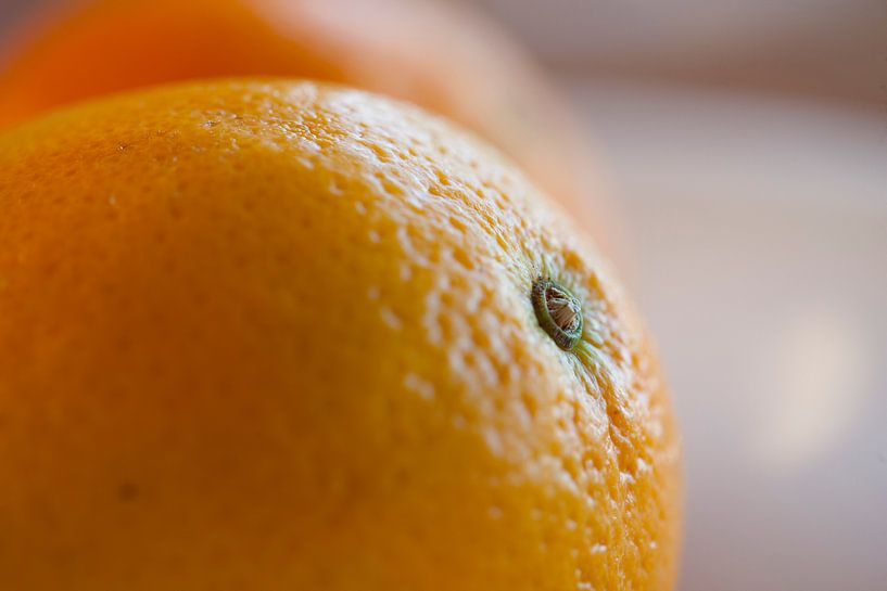 Sinaasappel by Martijn Smit