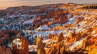 Lever de soleil hivernal à Bryce Canyon N.P., Utah par Henk Meijer Photography Aperçu