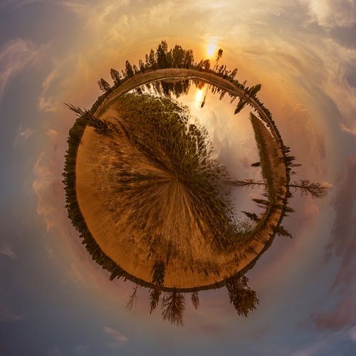 Kampina in stereografische projectie