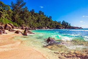 Droomstrand Anse Intendance - Mahé - Seychellen van Max Steinwald