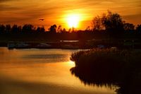 Sunset with boats in small harbour The Netherlands