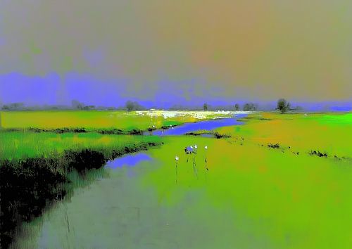 Beek Veld | Beek Echo