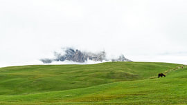 Alpe di Siusi by Rong Yang