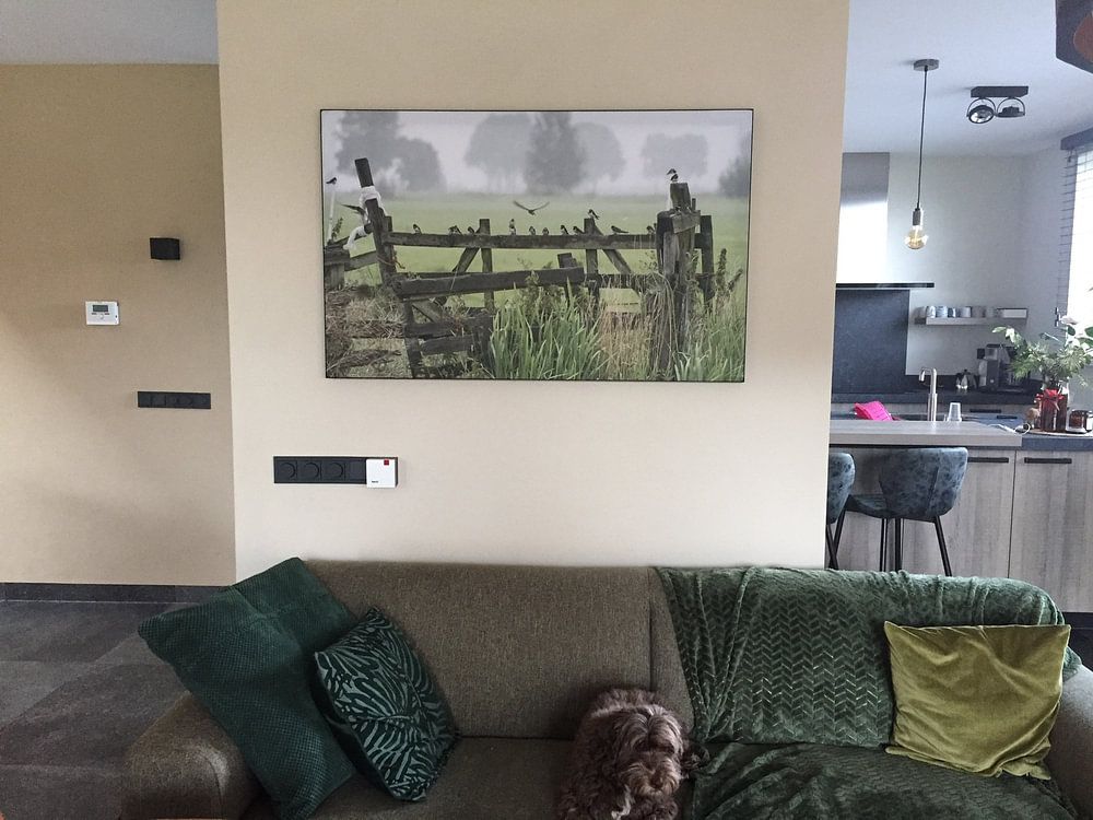 Hirondelles rustiques.  par Ron Westbroek 