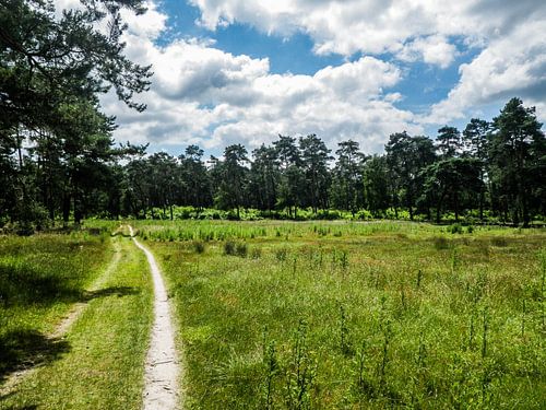 Planken Wambuis, Ede