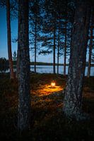 Lantaarn in het bos