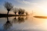 Tiendwegse molen en zijn wilgen