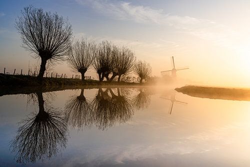 Tiendweg mill and its willows