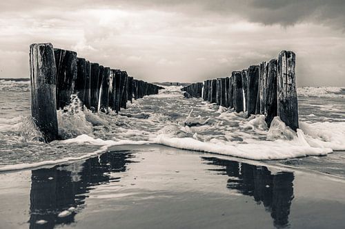 Groynes on the beach