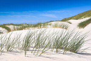 In den Dünen auf Sylt von Reiner Würz / RWFotoArt