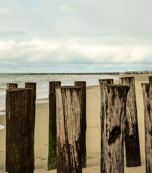 Wellenbrecher am Strand in Zeeland von Helene van Rijn