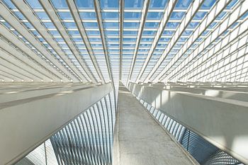 Linienspiel im Bahnhof Lüttich-Guillemins