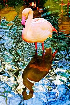 Roze flamingo van Leopold Brix