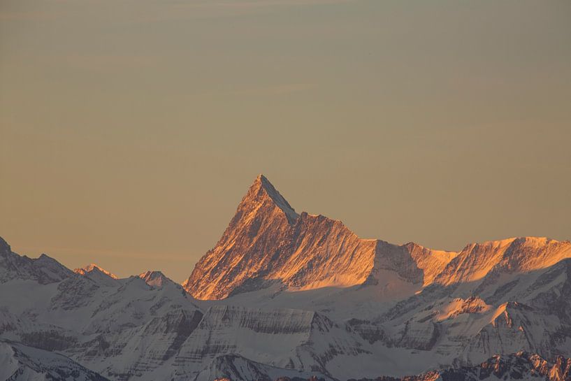 Sonnenaufgang am Finsteraarhorn mit Alpenglühen von Martin Steiner