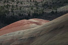 Painted Hills in the John Day Fossil Beds National Monument at Mitchell City, Wheeler County, Northe by Frank Fichtmüller