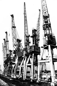 Anciennes grues de chargement sur Norbert Sülzner