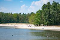 High summer in the Dutch province of Overijssel.