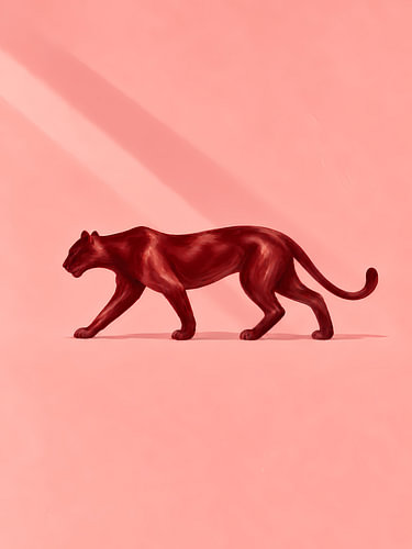 Crimson Panther in Soft Pink Light