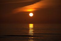 donkere zonsondergang