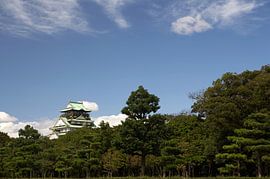 Osaka Castle by Hans van Oort
