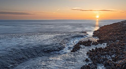 Courbe de Watum sous le soleil du printemps