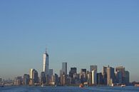 Zicht op Manhattan, New York, Amerika van Bernard van Zwol thumbnail