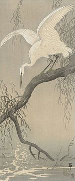 Ohara Koson - White heron on a branch (edited) by Peter Balan